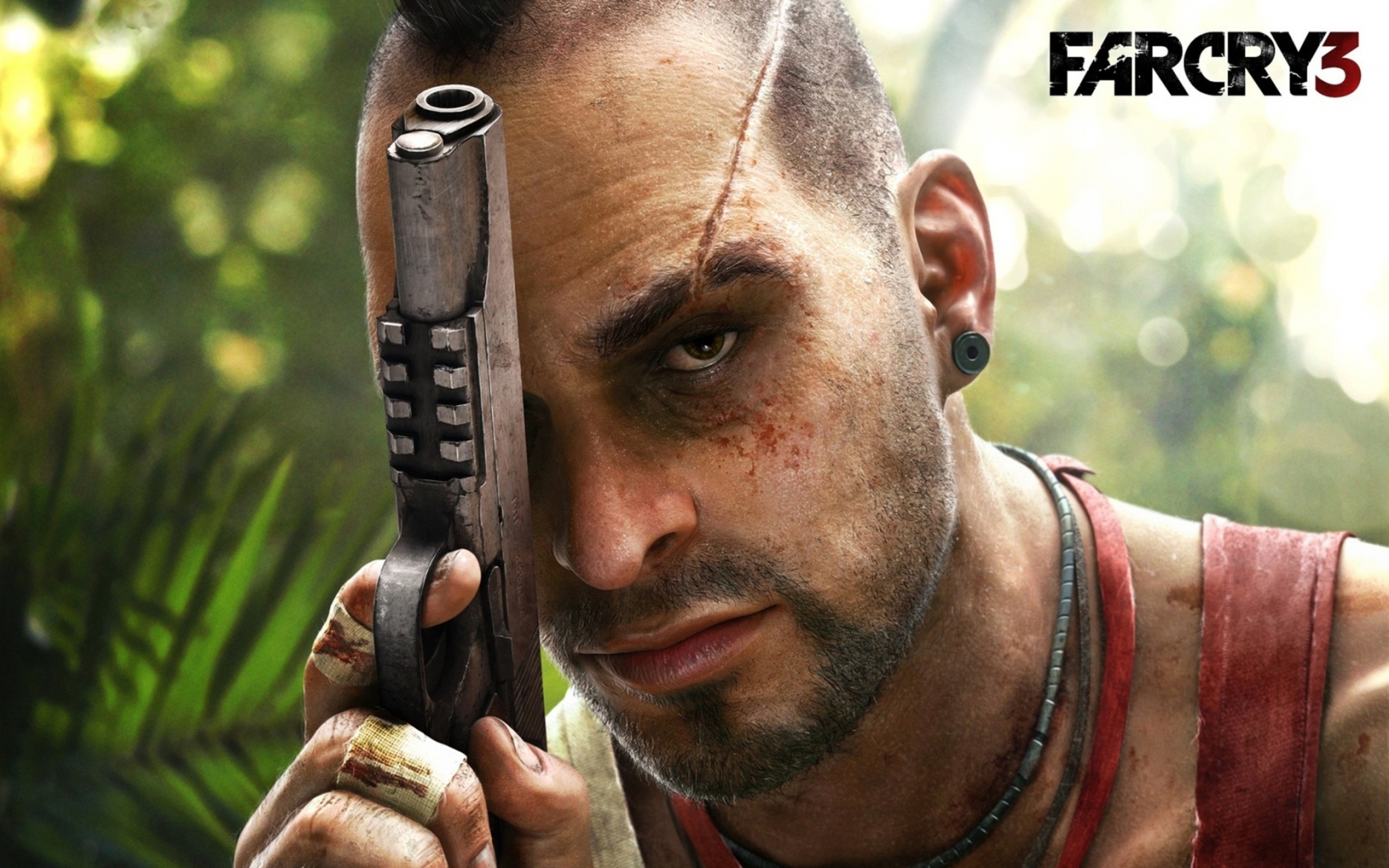 Far Cry 3 for 1680 x 1050 widescreen resolution