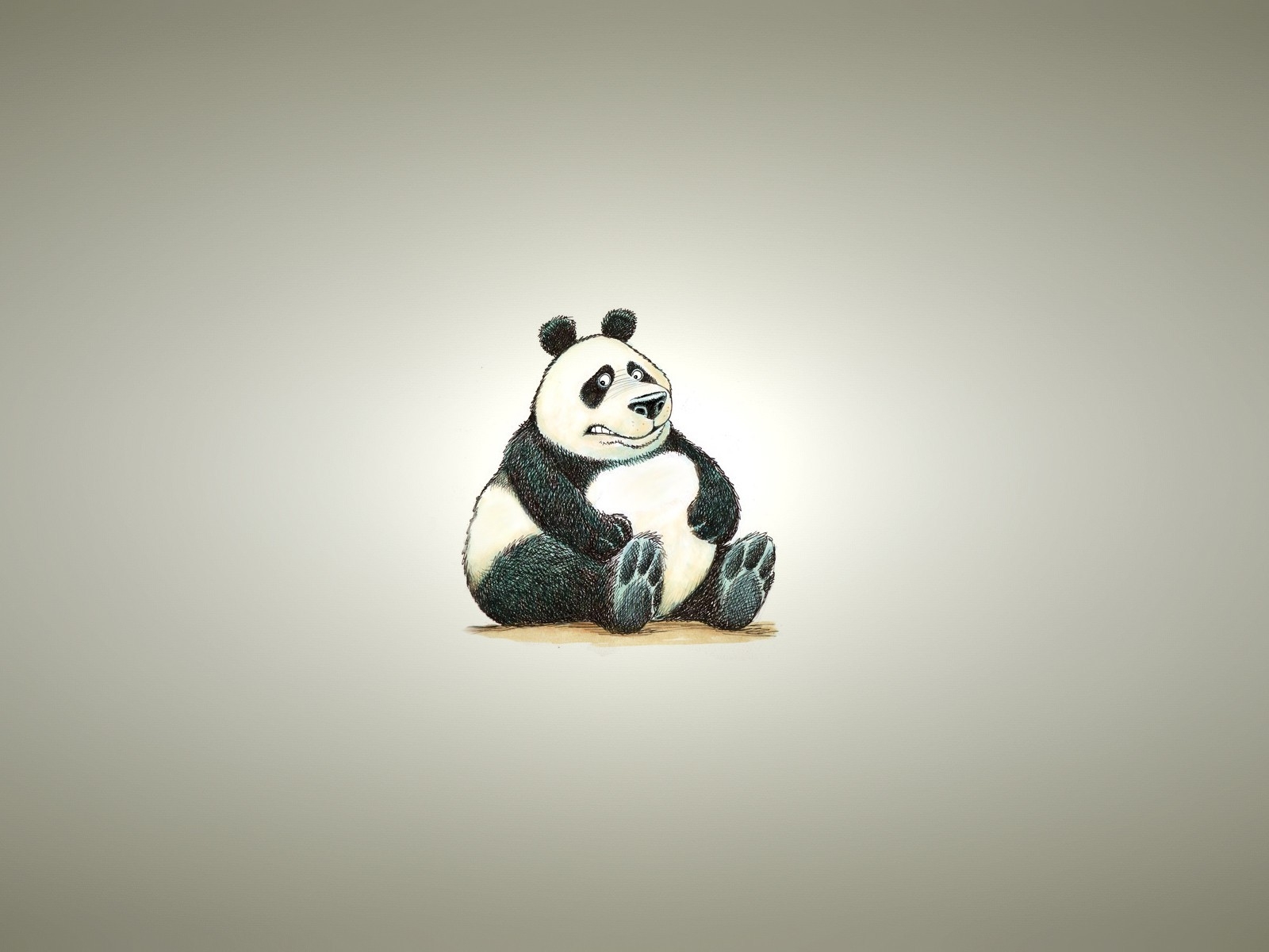 Fat Panda Bear for 1600 x 1200 resolution