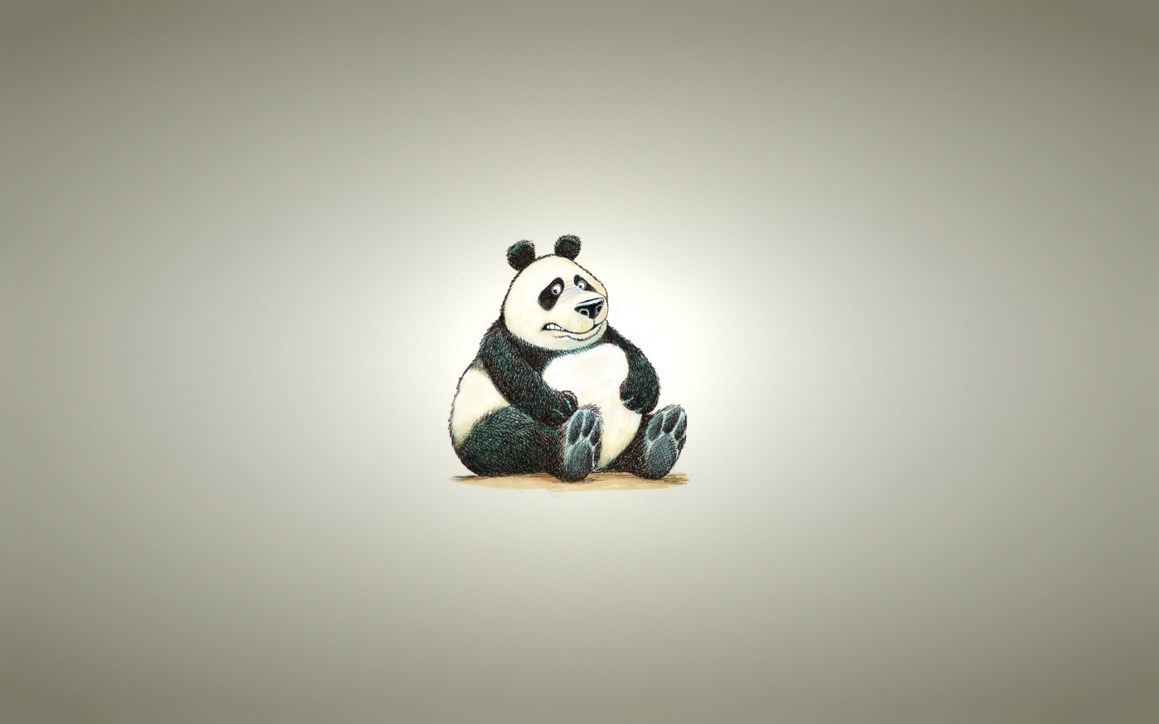 Fat Panda Bear for 1680 x 1050 widescreen resolution