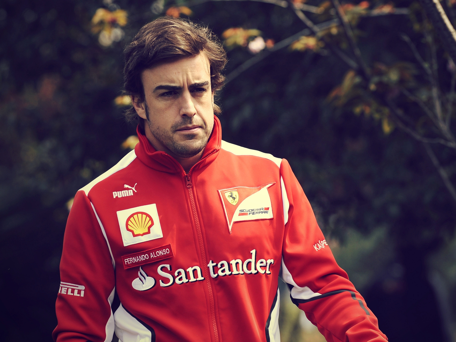 Fernando Alonso Look for 1600 x 1200 resolution