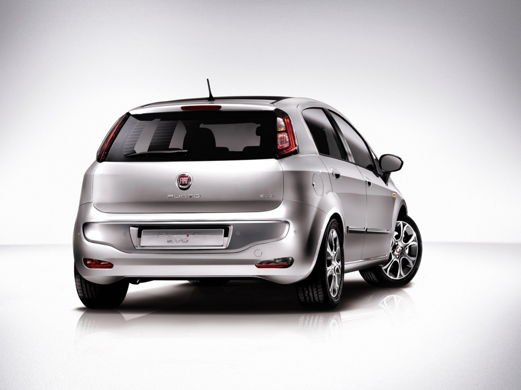Fiat Punto Evo for 1024 x 768 resolution