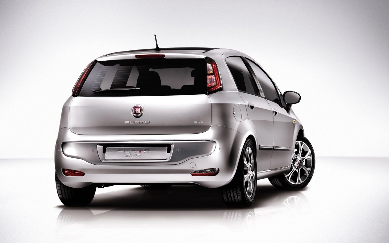 Fiat Punto Evo for 1280 x 800 widescreen resolution