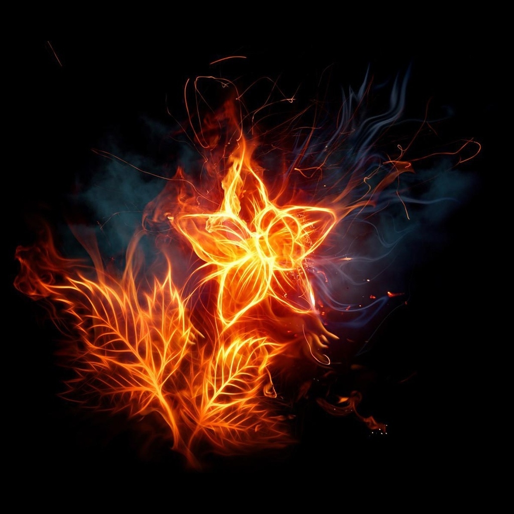 Fiery  Flowers for 1024 x 1024 iPad resolution