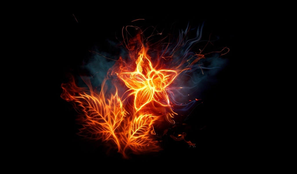 Fiery  Flowers for 1024 x 600 widescreen resolution