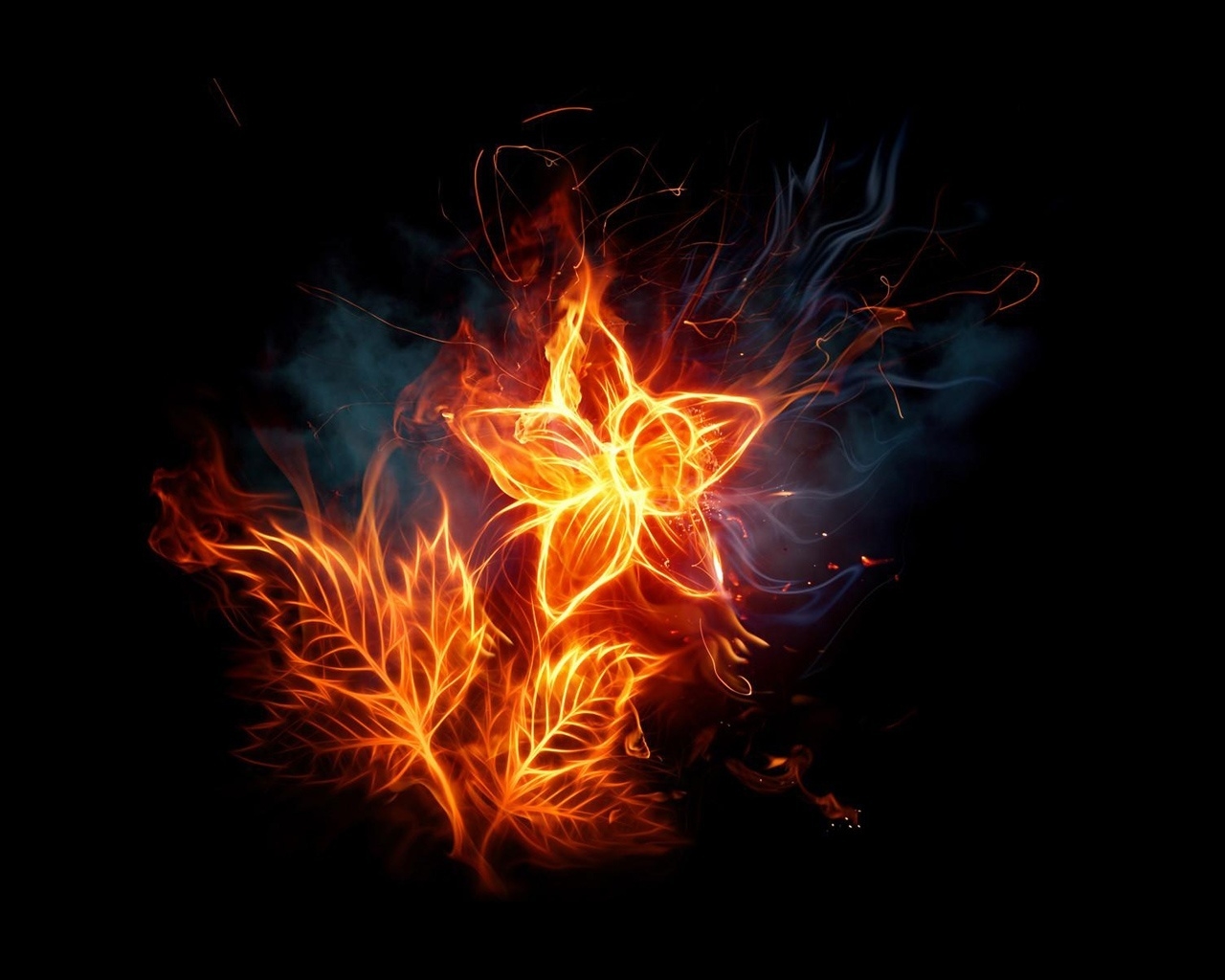 Fiery  Flowers for 1280 x 1024 resolution