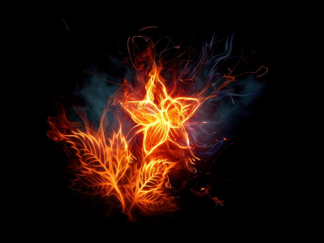 Fiery  Flowers for 1280 x 960 resolution