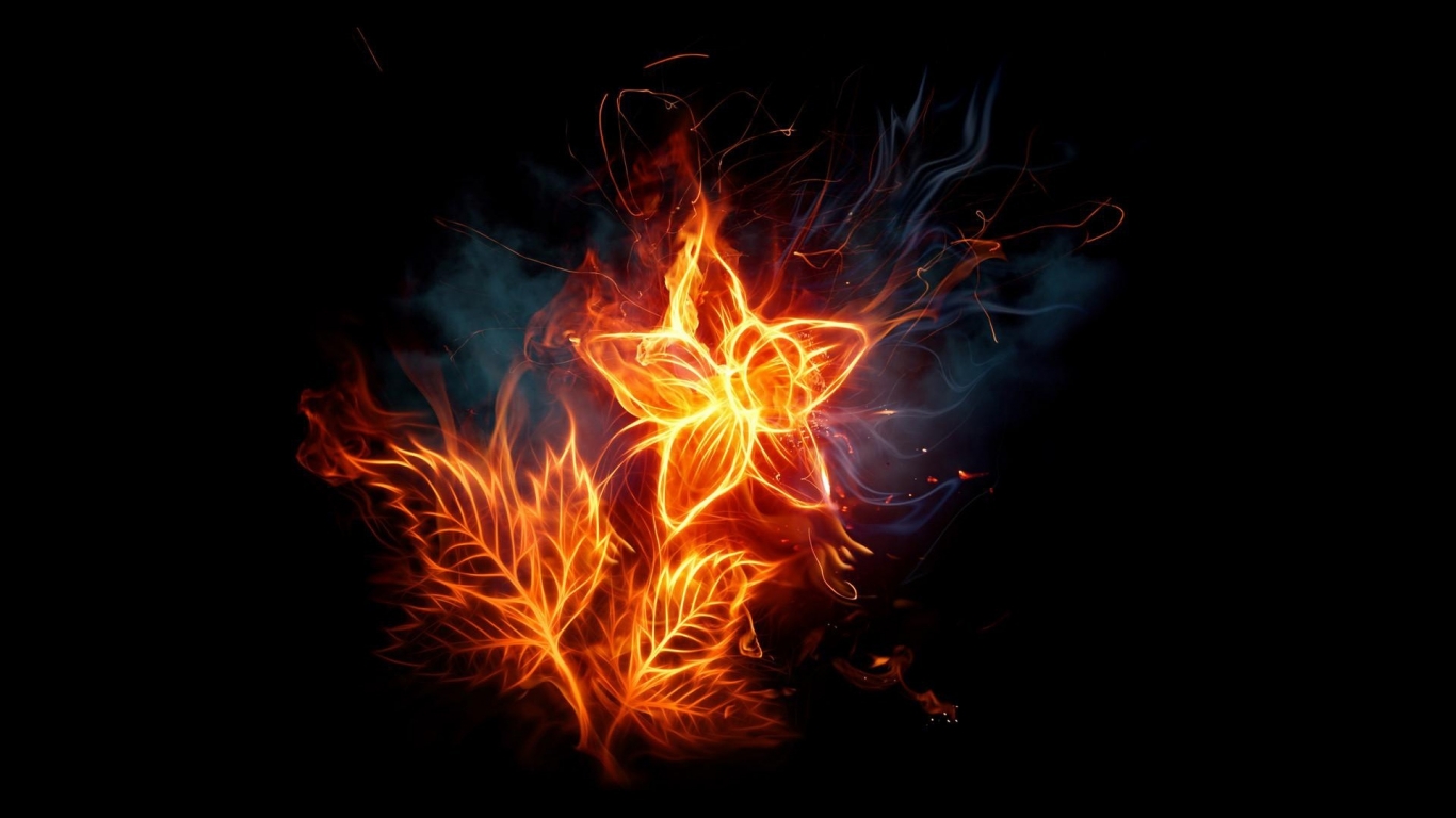 Fiery  Flowers for 1366 x 768 HDTV resolution