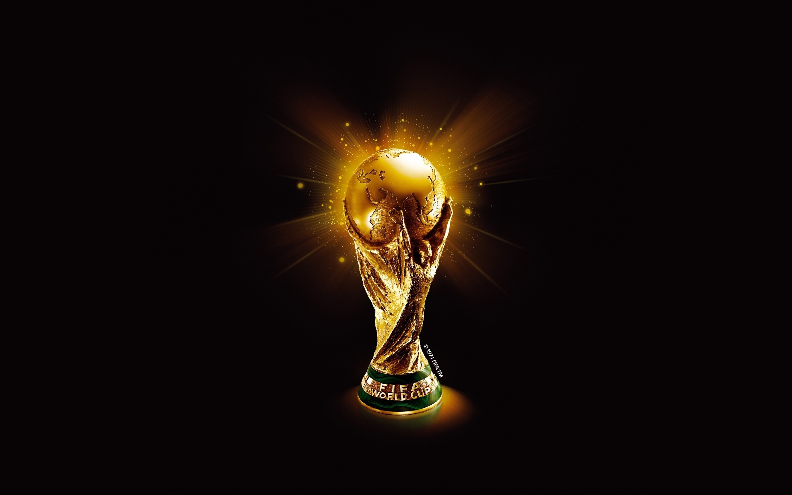 FIFA World Cup for 2560 x 1600 widescreen resolution