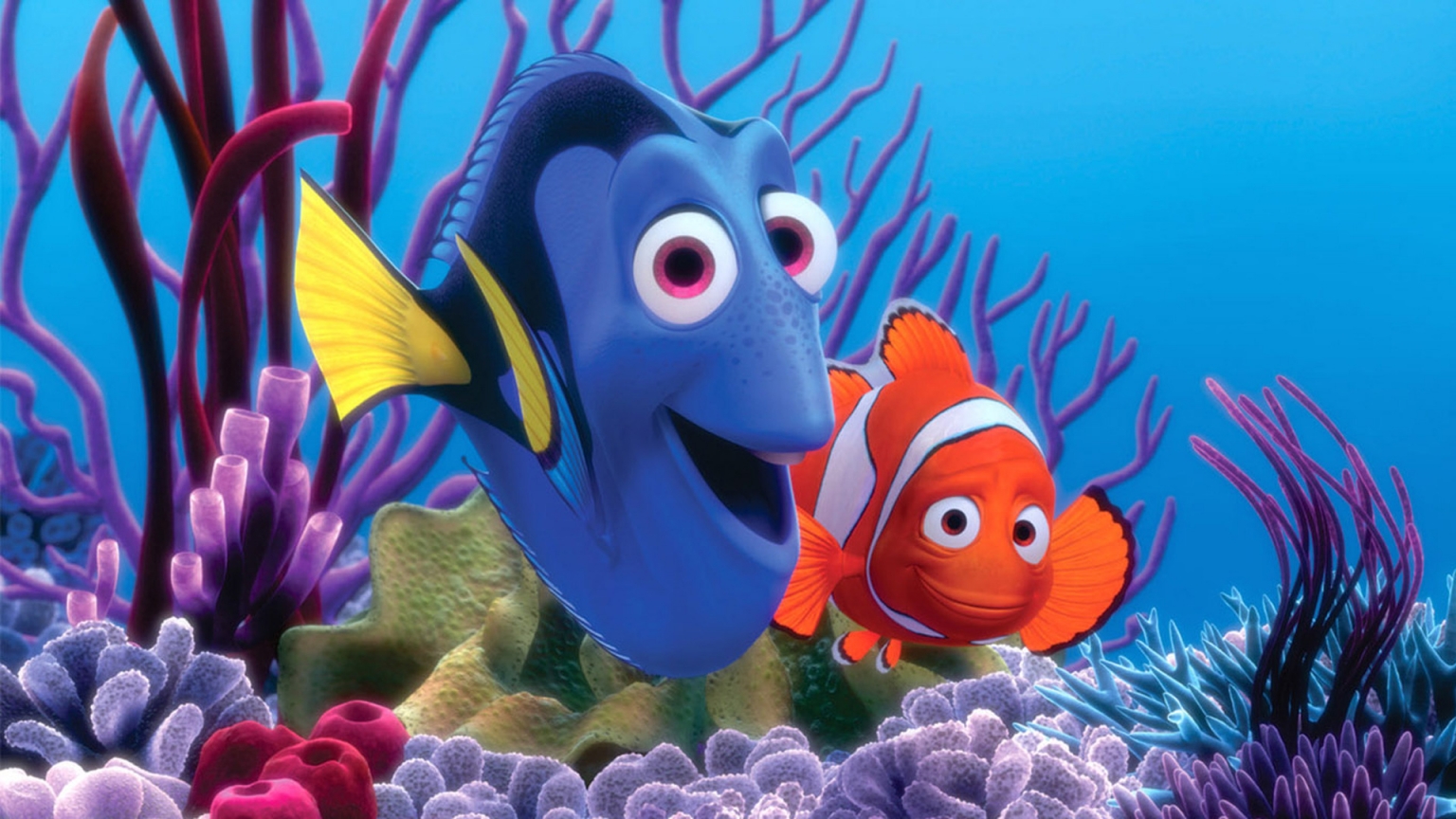Finding Nemo Fishes for 1536 x 864 HDTV resolution