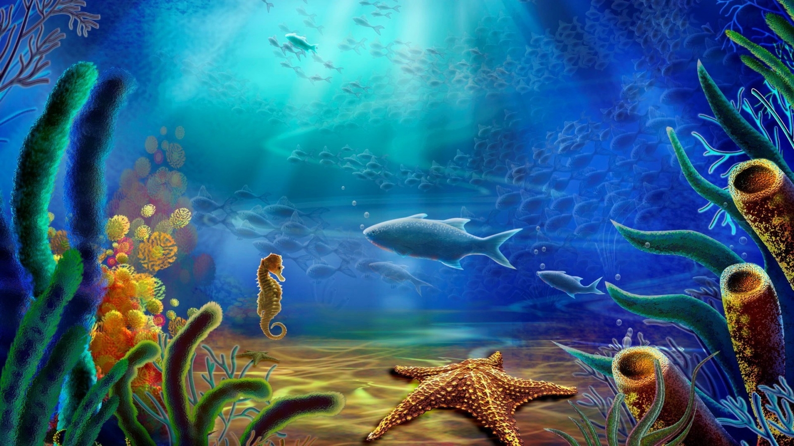 Fish and Sea Horse and Starfish for 1600 x 900 HDTV resolution
