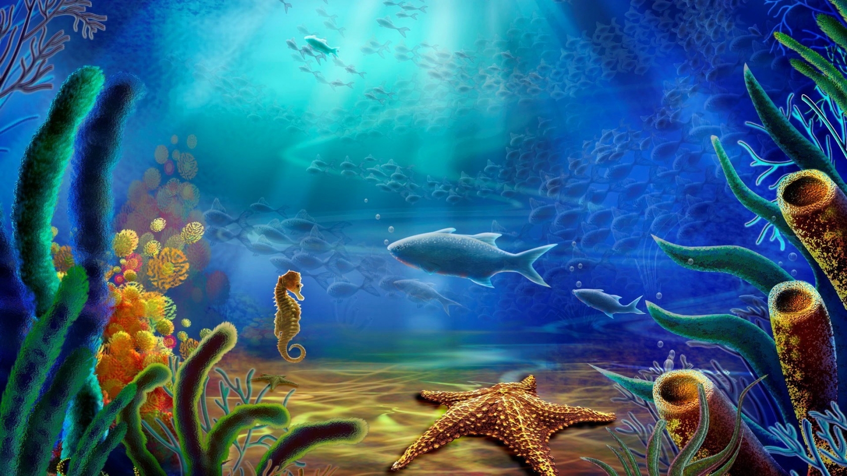 Fish and Sea Horse and Starfish for 1680 x 945 HDTV resolution