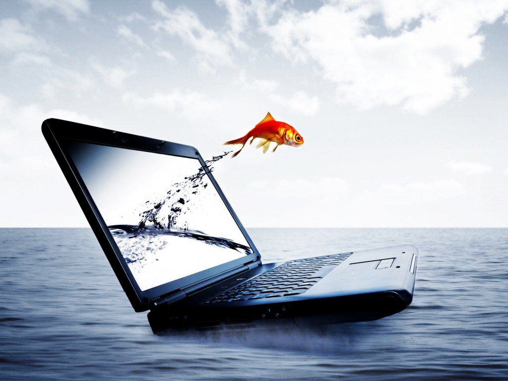 Fish Jump From Notebook for 1024 x 768 resolution