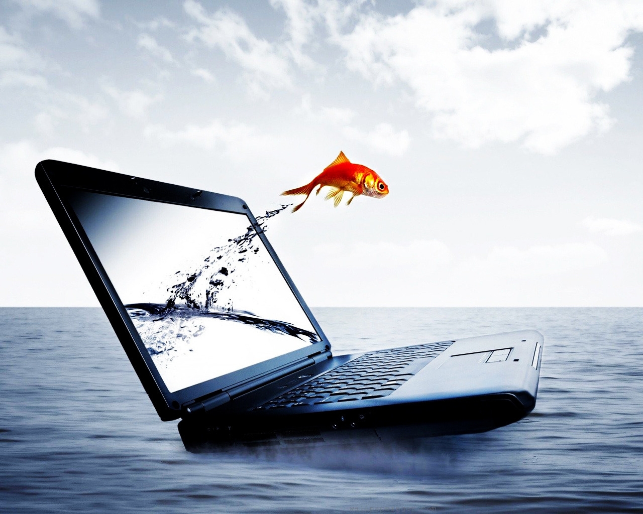 Fish Jump From Notebook for 1280 x 1024 resolution