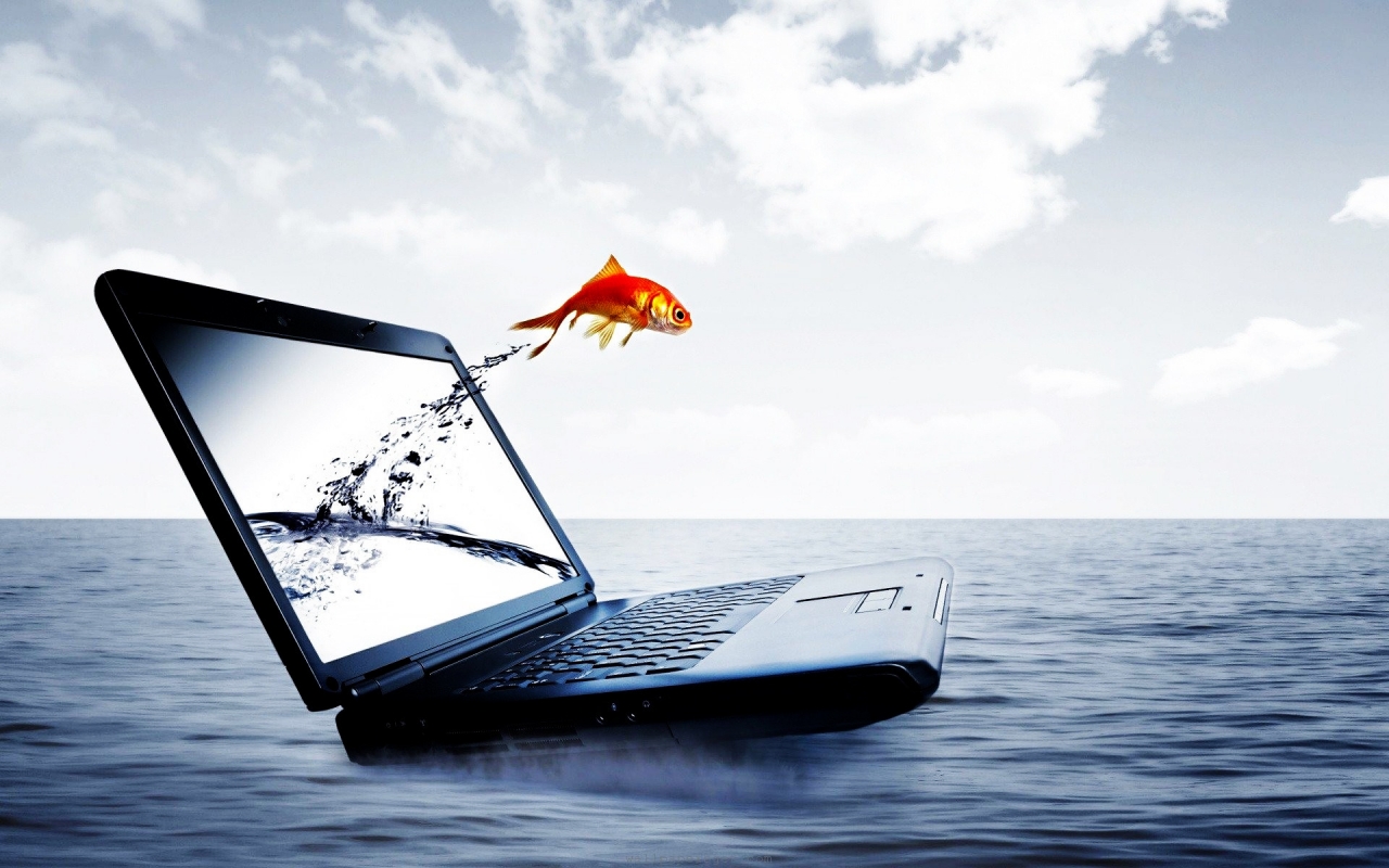 Fish Jump From Notebook for 1280 x 800 widescreen resolution