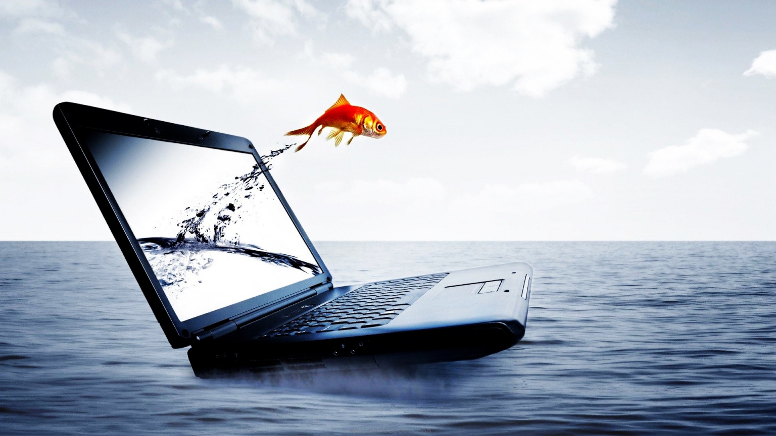 Fish Jump From Notebook for 1536 x 864 HDTV resolution