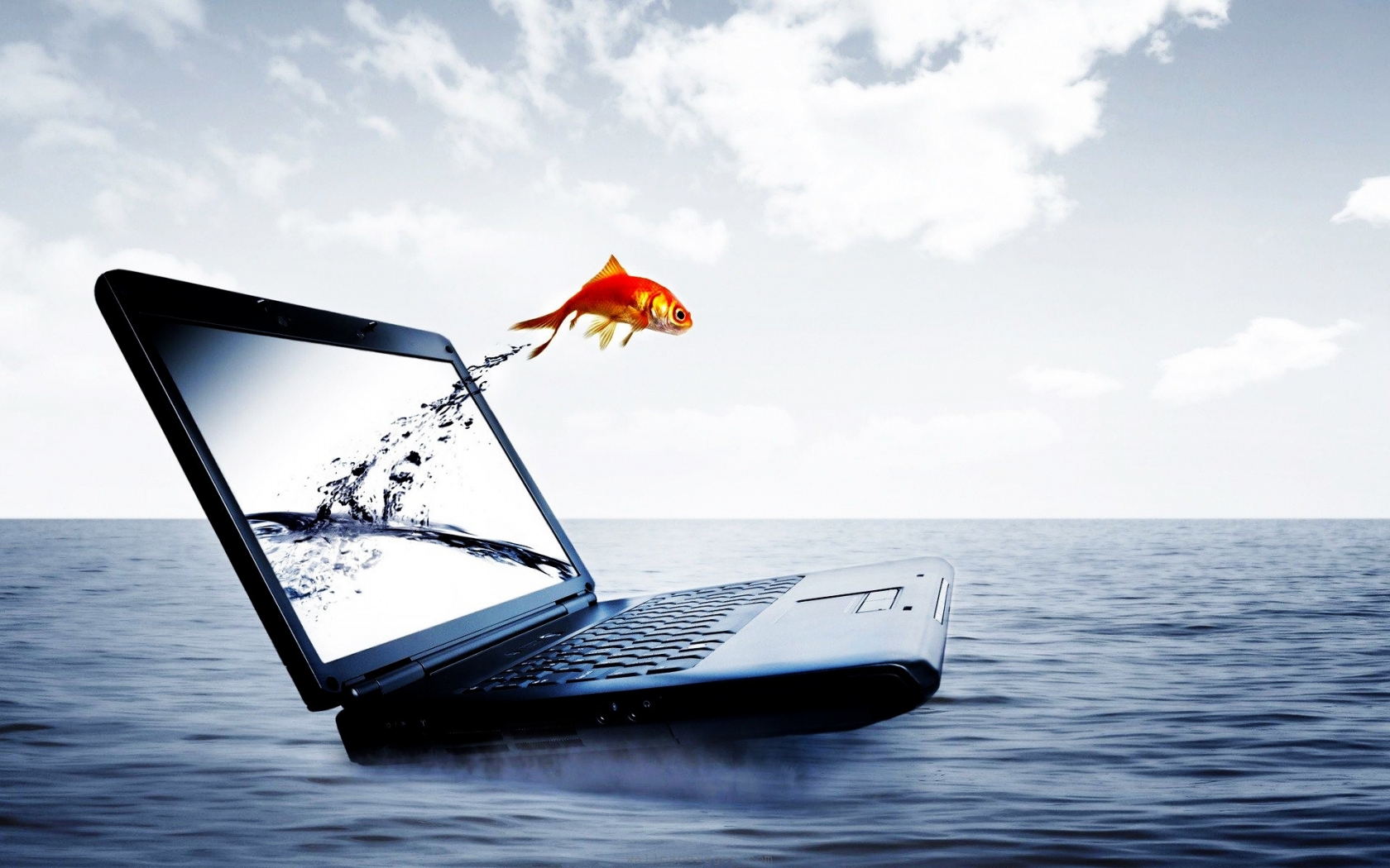 Fish Jump From Notebook for 1680 x 1050 widescreen resolution
