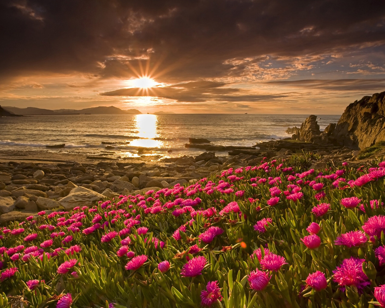 Flowers And Sunset 1280 X 1024 Wallpaper