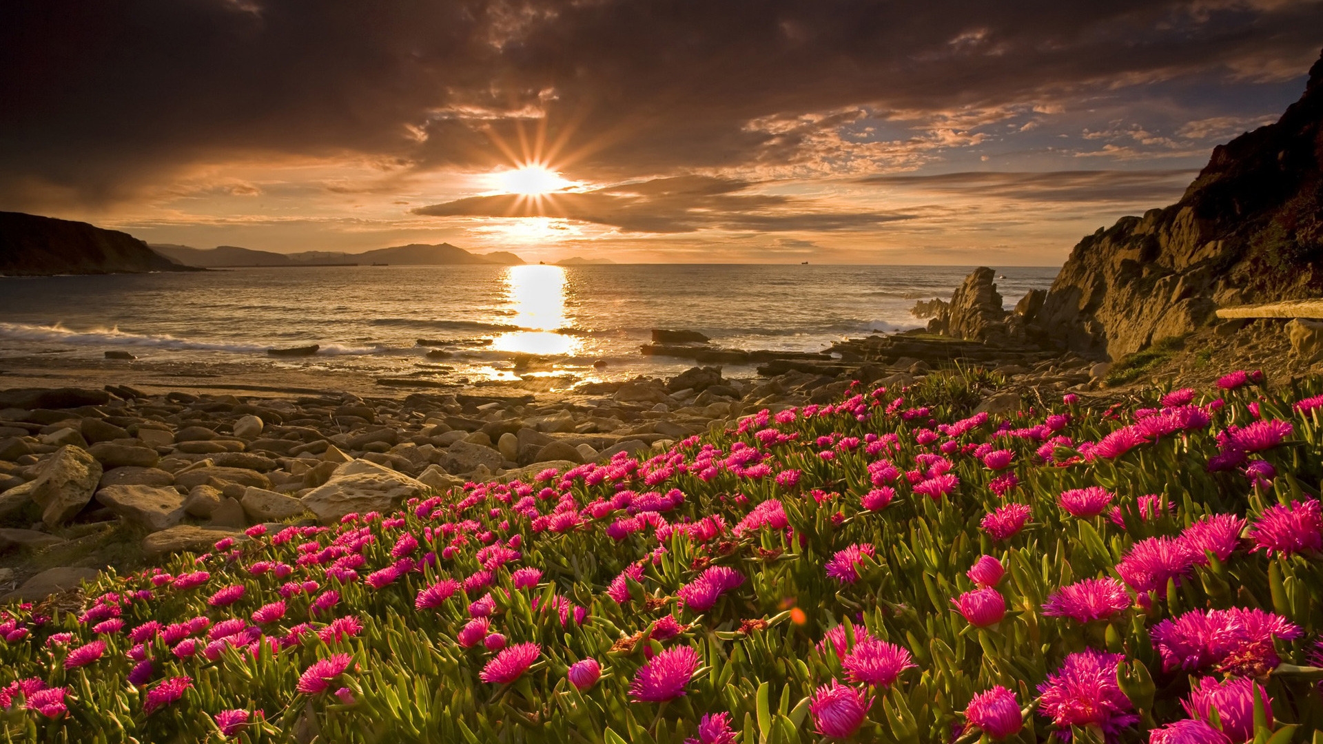 Flowers and Sunset for 1920 x 1080 HDTV 1080p resolution