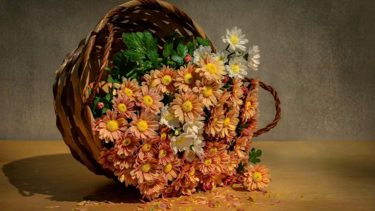 Flowers Basket for 1280 x 720 HDTV 720p resolution