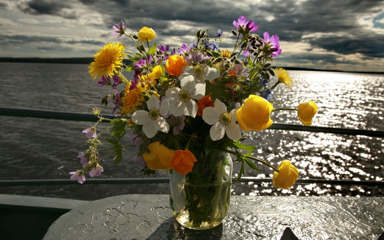 Flowers by the Sea for 1280 x 800 widescreen resolution