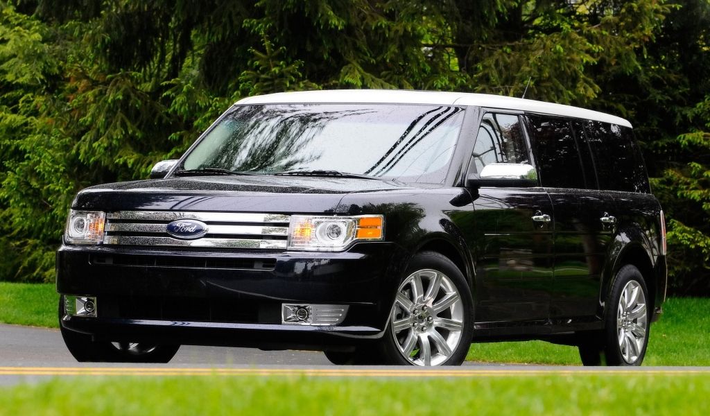 Ford Flex 2009 for 1024 x 600 widescreen resolution