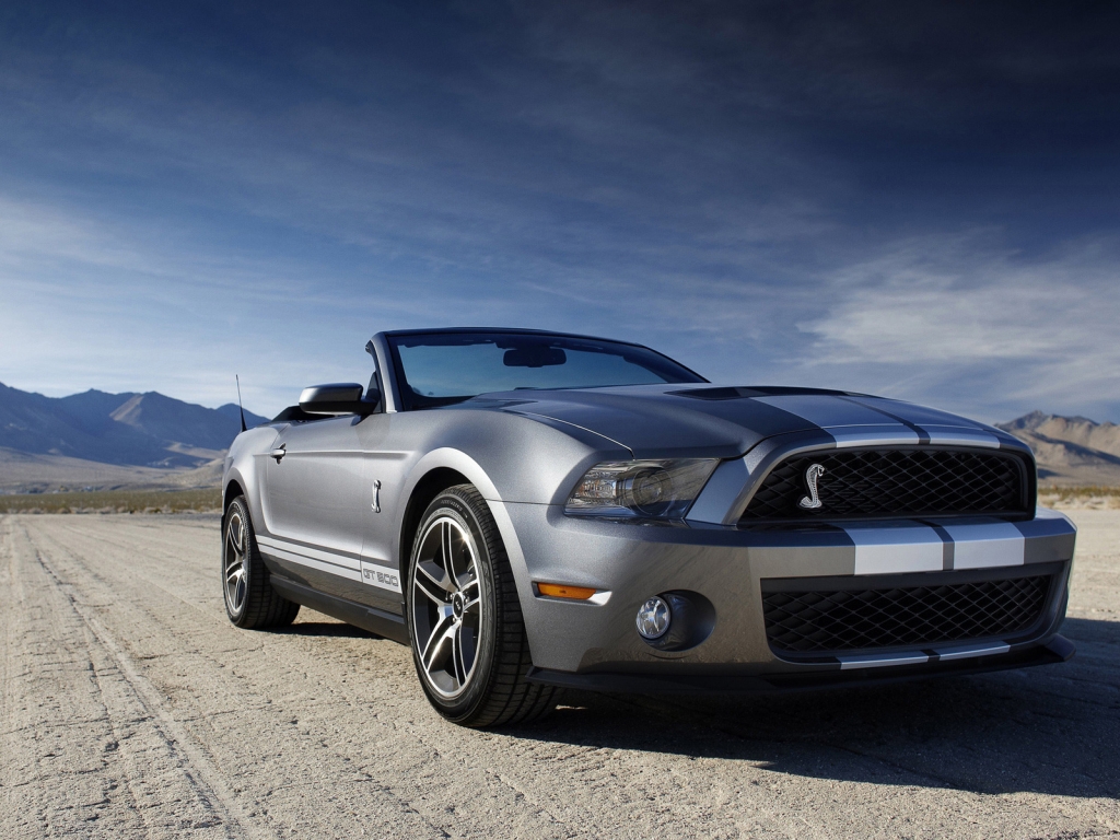 Ford Mustang Shelby for 1024 x 768 resolution