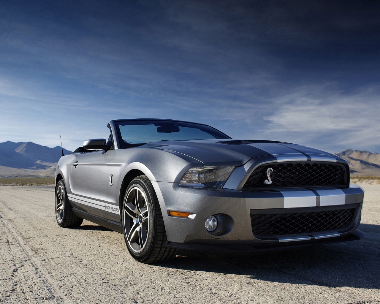 Ford Mustang Shelby for 1280 x 1024 resolution