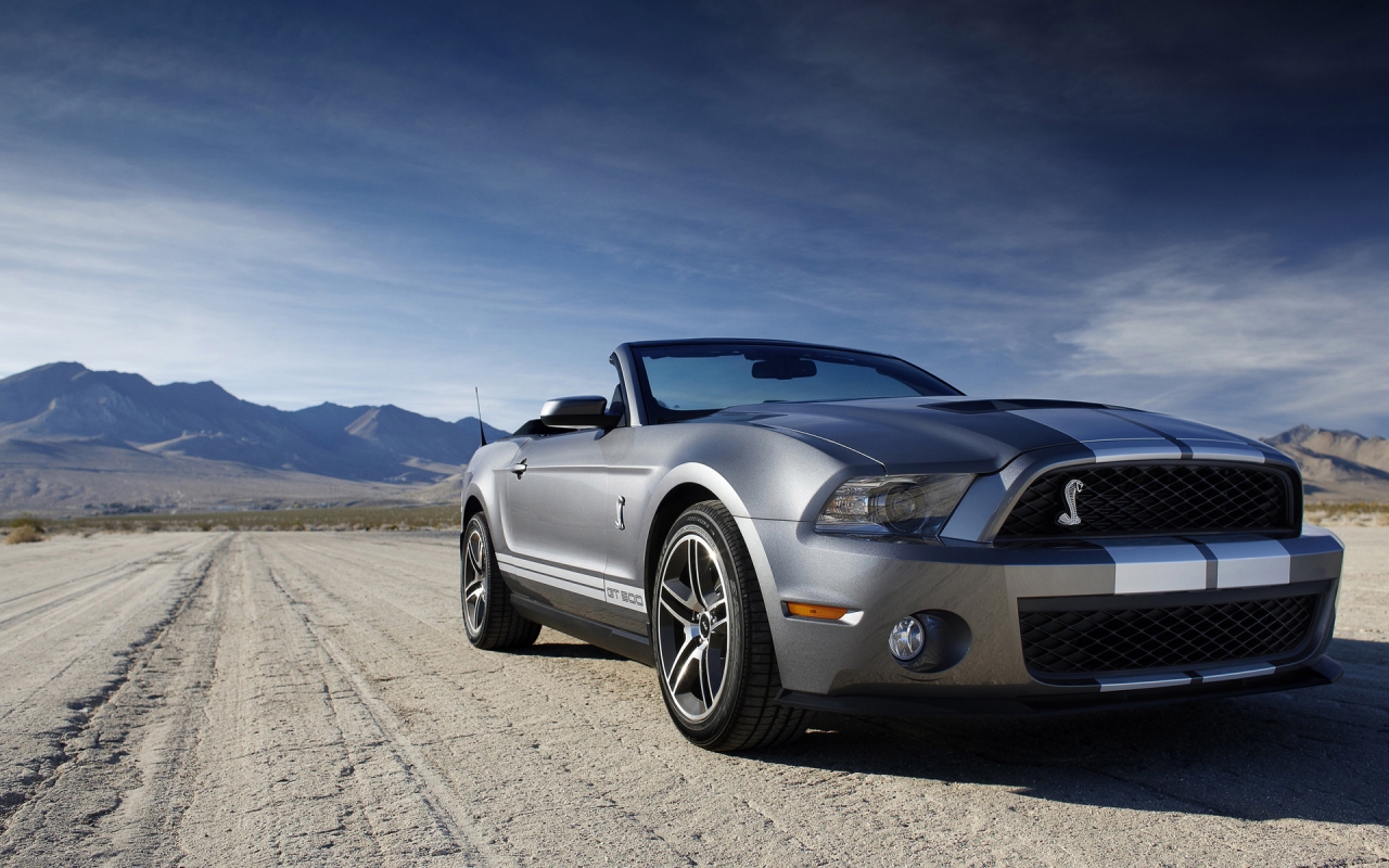 Ford Mustang Shelby for 1280 x 800 widescreen resolution