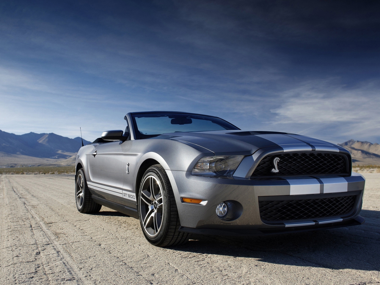 Ford Mustang Shelby for 1280 x 960 resolution