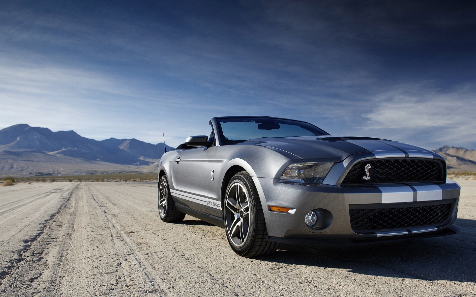 Ford Mustang Shelby for 1920 x 1200 widescreen resolution