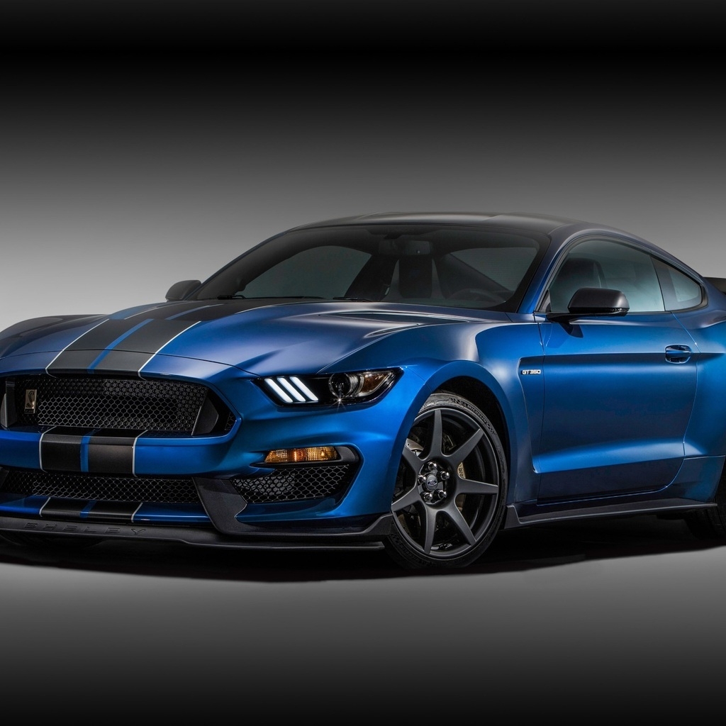 Ford Mustang Shelby GT350R for 1024 x 1024 iPad resolution