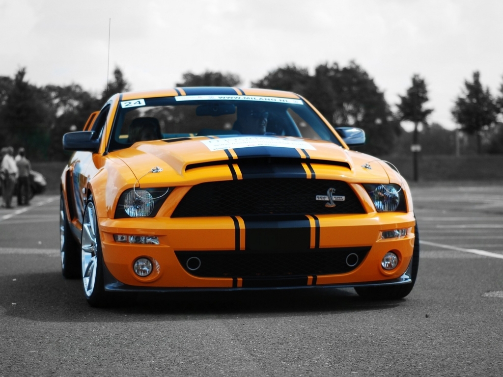 Ford Shelby GT500 for 1024 x 768 resolution