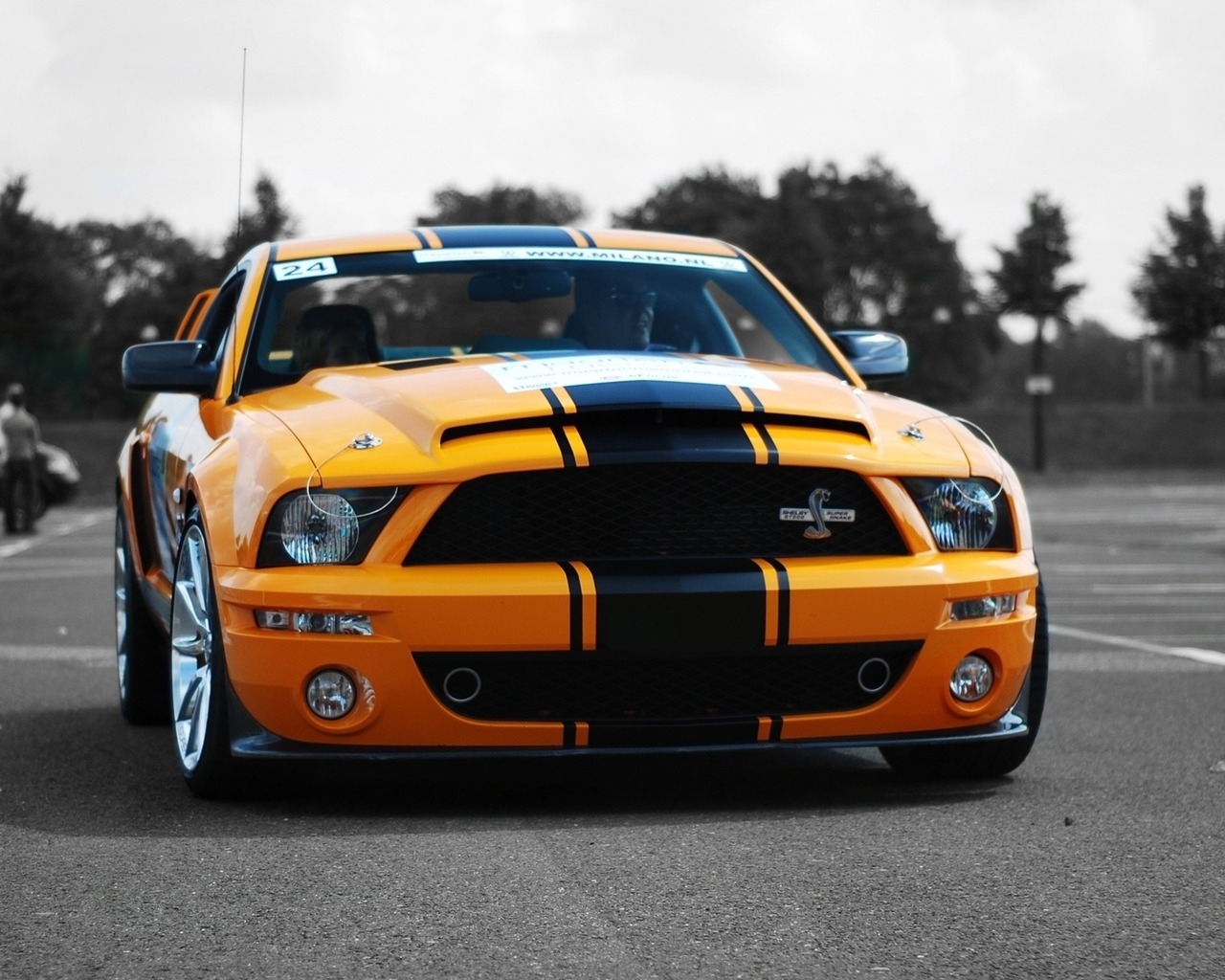 Ford Shelby GT500 for 1280 x 1024 resolution