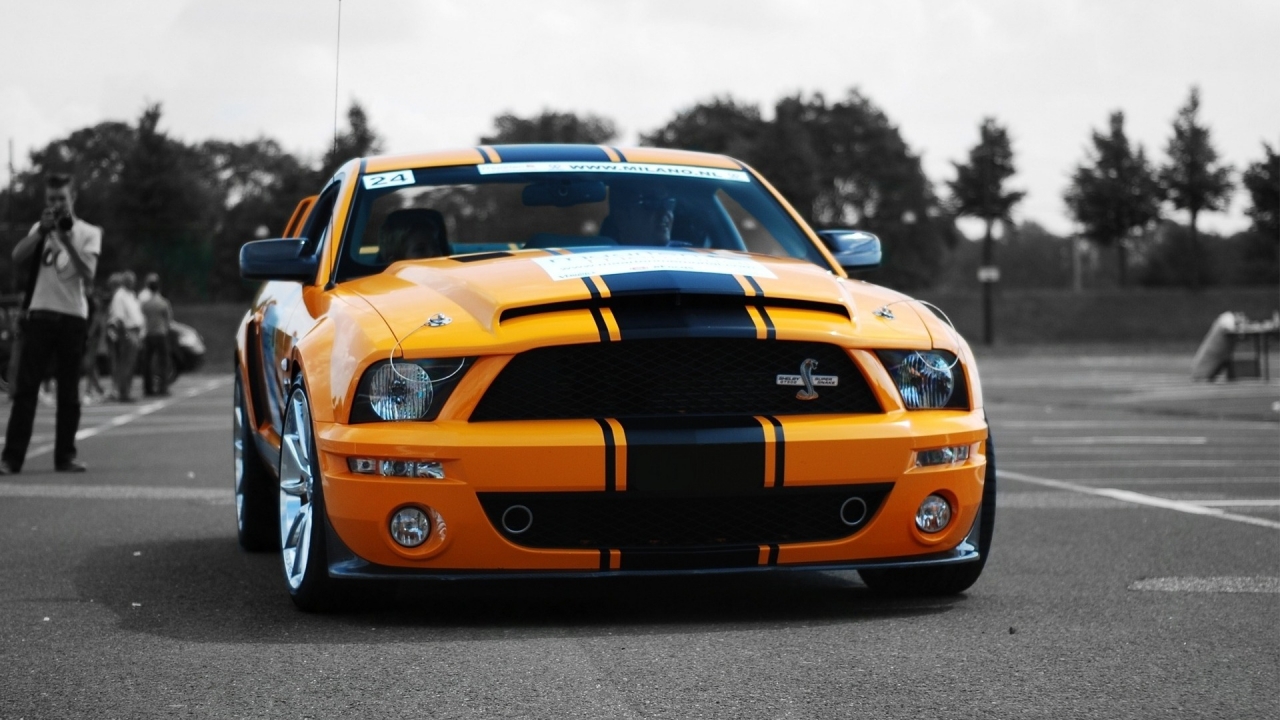 Ford Shelby GT500 for 1280 x 720 HDTV 720p resolution