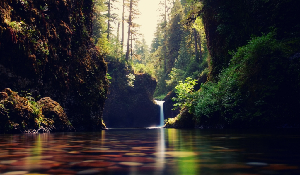 Forest Cascade Landscape for 1024 x 600 widescreen resolution