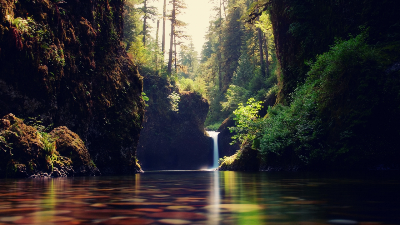 Forest Cascade Landscape for 1280 x 720 HDTV 720p resolution