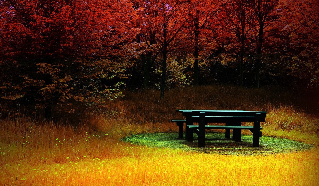 Forest Corner During Autumn for 1024 x 600 widescreen resolution