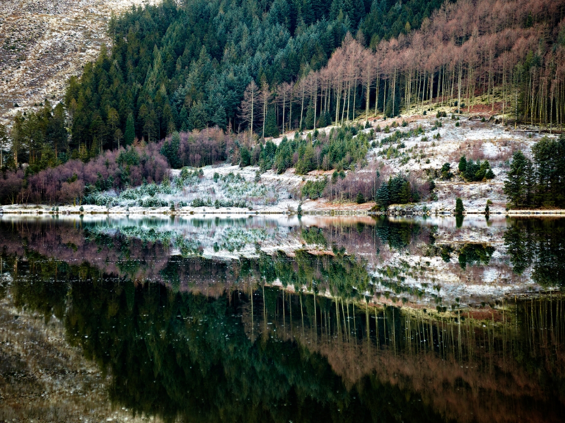 Forest Reflection for 1152 x 864 resolution