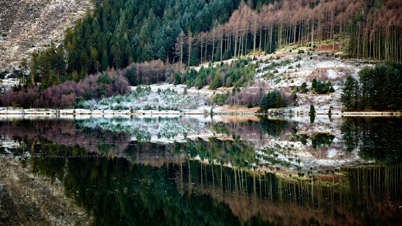 Forest Reflection for 1366 x 768 HDTV resolution