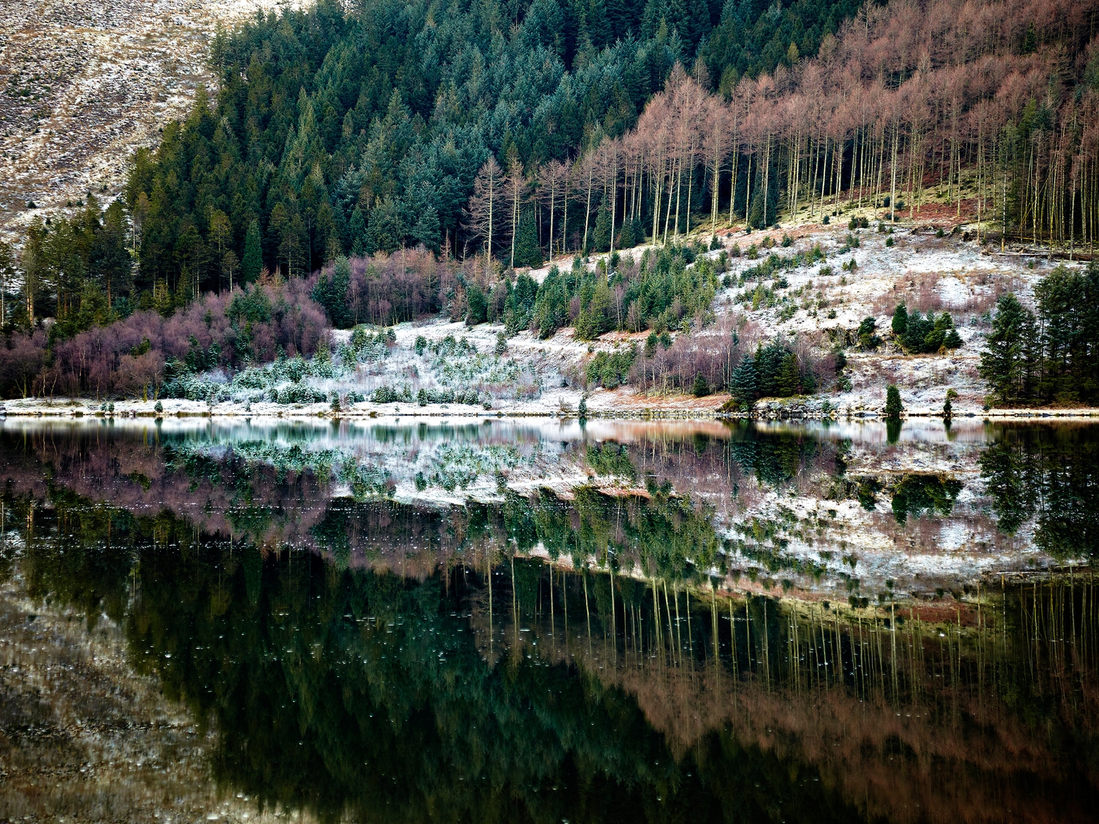 Forest Reflection for 1600 x 1200 resolution