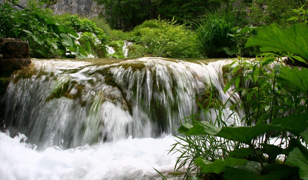Forest Waterfall for 1024 x 600 widescreen resolution