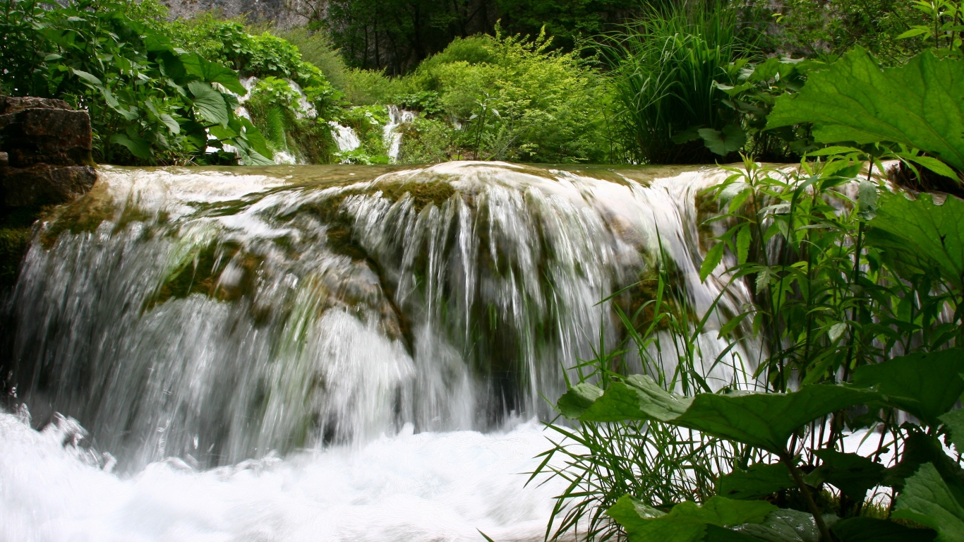 Forest Waterfall for 1366 x 768 HDTV resolution