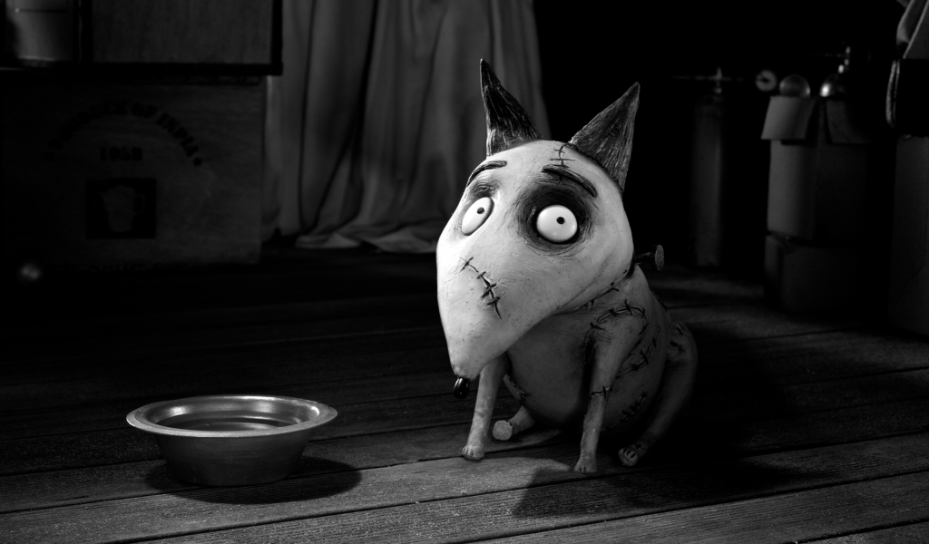 Frankenweenie Sparky for 1024 x 600 widescreen resolution