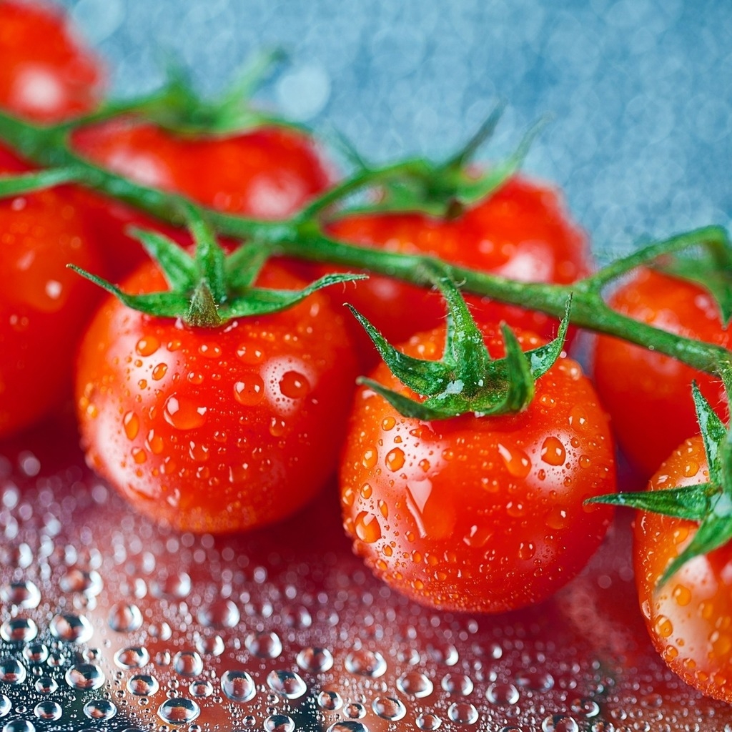 Fresh Cherry Tomatoes for 1024 x 1024 iPad resolution