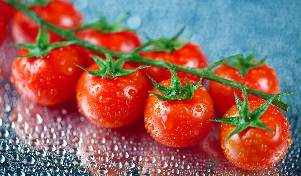 Fresh Cherry Tomatoes for 1024 x 600 widescreen resolution