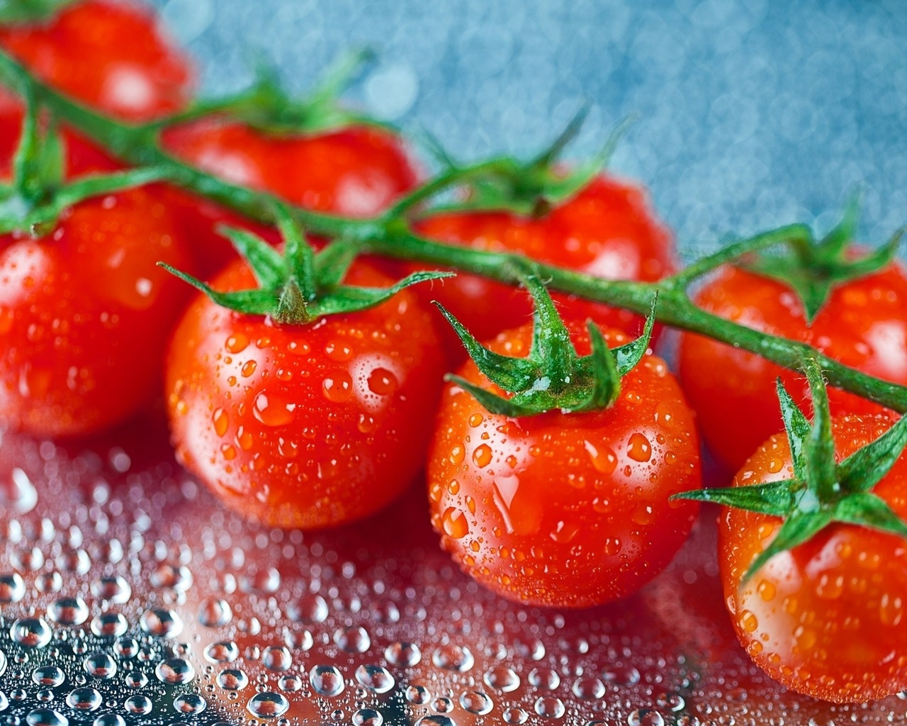 Fresh Cherry Tomatoes for 1280 x 1024 resolution