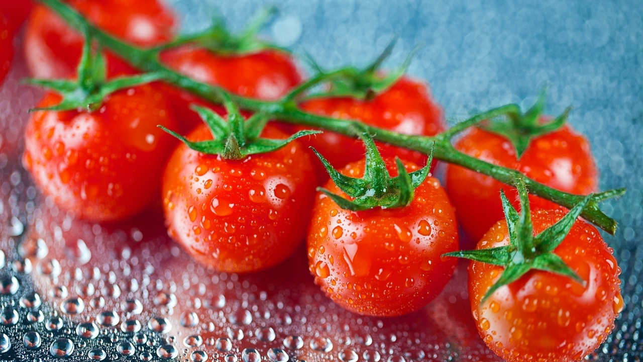 Fresh Cherry Tomatoes for 1280 x 720 HDTV 720p resolution