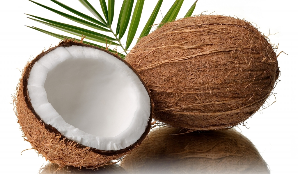 Fresh Coconut for 1024 x 600 widescreen resolution