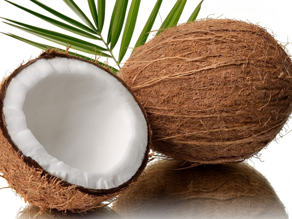 Fresh Coconut for 1024 x 768 resolution