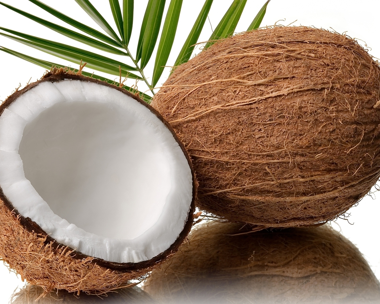 Fresh Coconut for 1280 x 1024 resolution